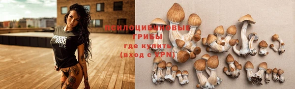 кокаин премиум Алзамай