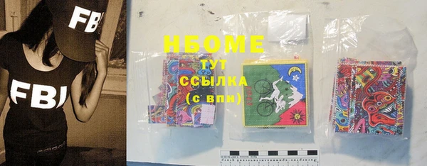 шишки Алексин