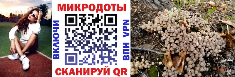 Галлюциногенные грибы мухоморы Кыштым