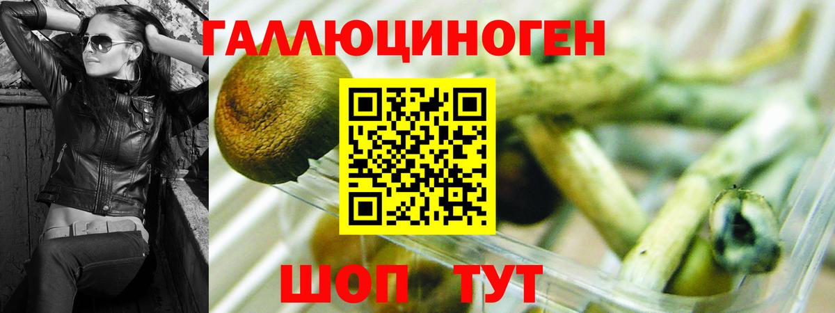 Галлюциногенные грибы MAGIC MUSHROOMS Кыштым